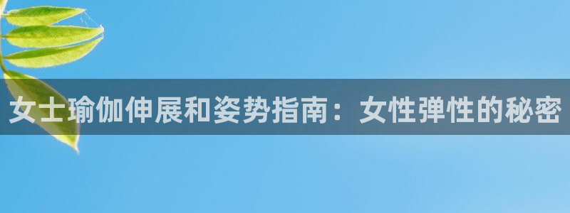 欧洲杯买球网