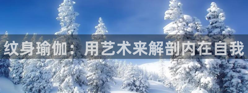 足球赌注平台app