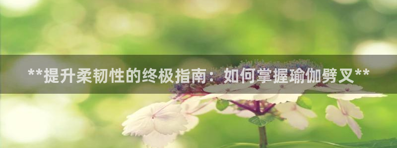 欧洲杯下单平台官方网站