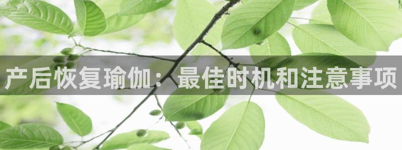 欧洲杯投注推荐网站