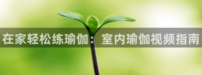 欧洲杯投注推荐网站
