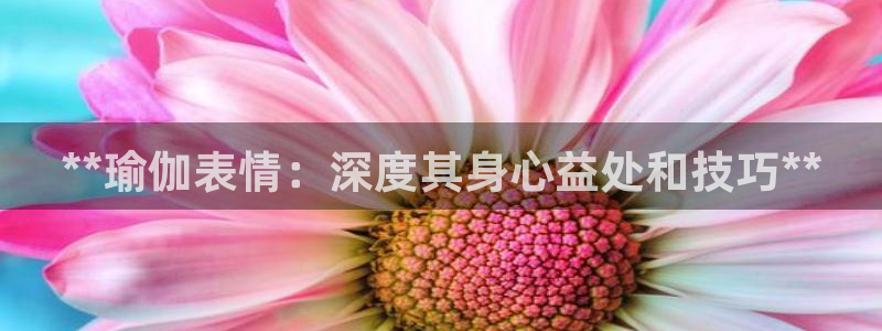 欧洲杯买足球软件有哪些