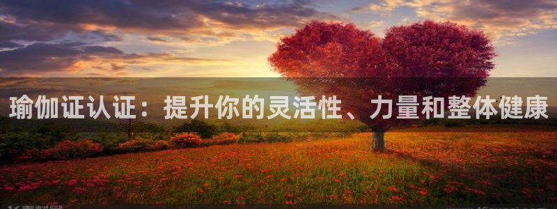 欧洲杯下单平台官网网址