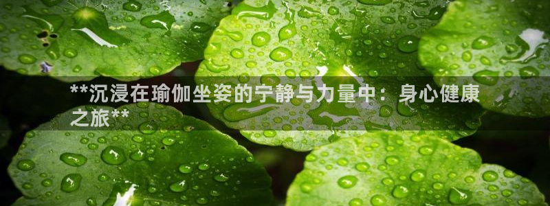 欧洲杯在哪个网站购买