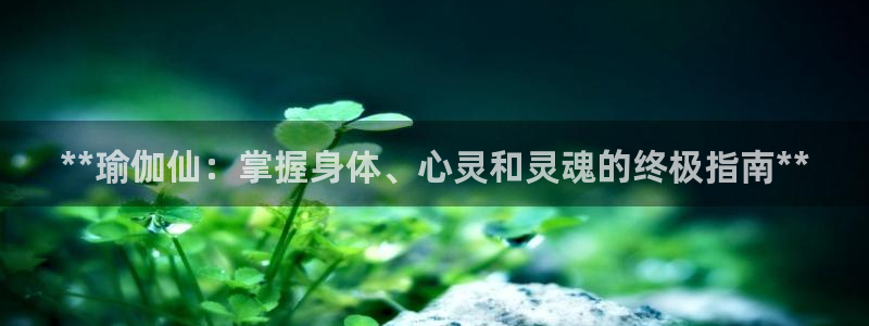 欧洲杯线上买球