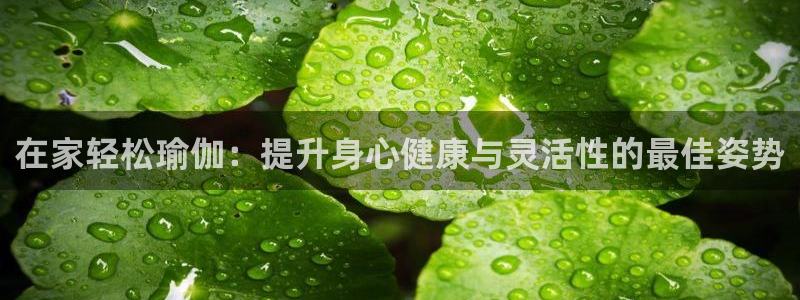 欧洲杯在哪个网站购买