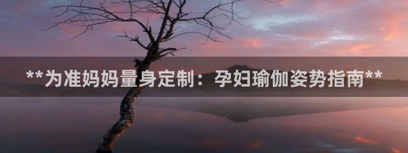 2024欧洲杯官方网站首页