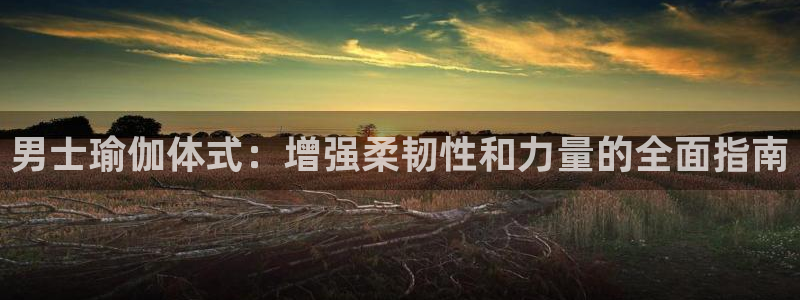 2024欧洲杯买球手机版