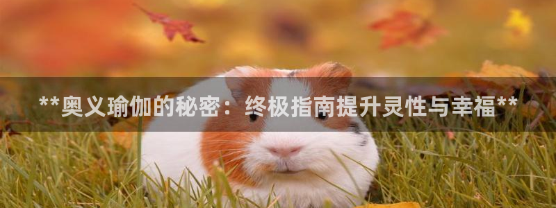 欧洲杯指定投注网站
