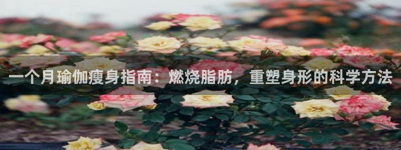 2024欧洲杯押注官网