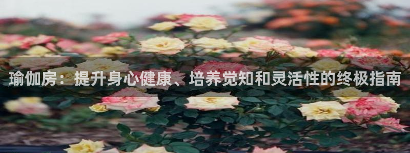 欧洲杯买球手机app