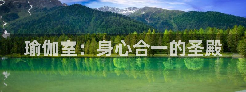 欧洲杯买球怎么买
