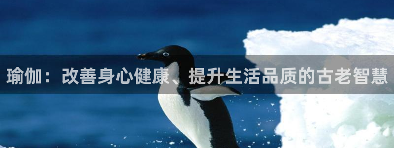 欧洲杯靠谱买球平台
