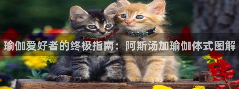 欧洲杯押注怎么买