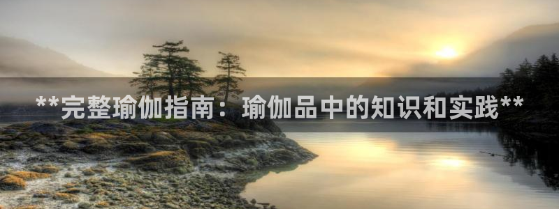 欧洲杯下单平台官方网站