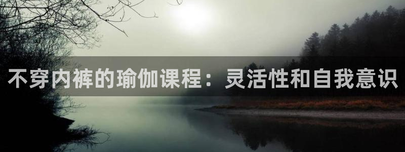 2024正规欧洲杯平台