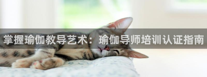 欧洲杯竞猜网站