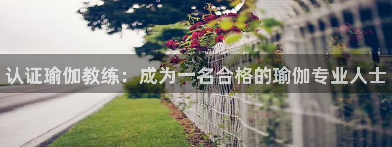 欧洲杯下单网址