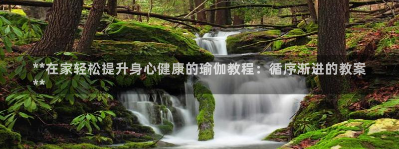 怎么买欧洲杯