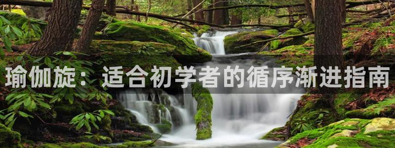 欧洲杯下单网址
