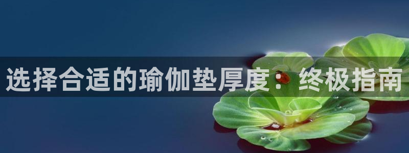 足球赌注平台app