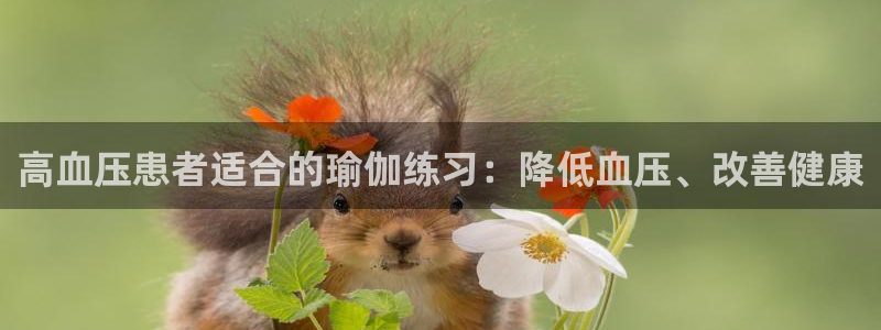 欧洲杯投注官方网站