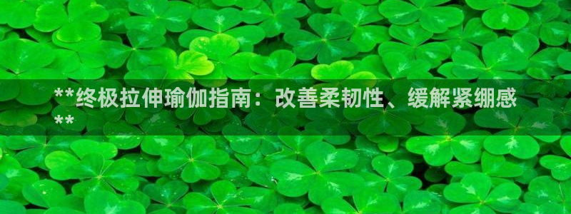 欧洲杯竞猜网站
