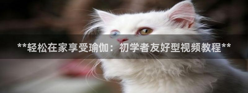欧洲杯押注