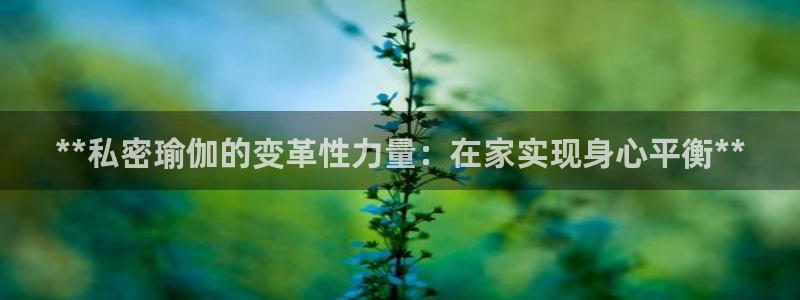 2024欧洲杯押注官网