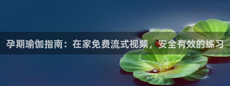 欧洲杯靠谱买球平台