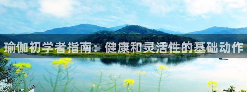 欧洲杯买球怎么买