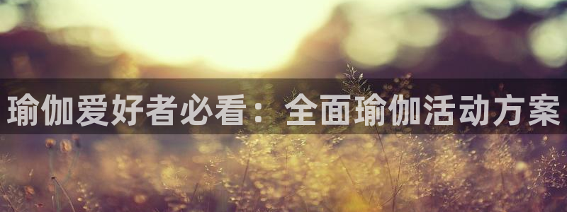 欧洲杯在哪个网站购买