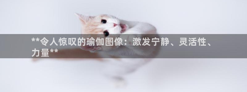 欧洲杯投注推荐网站