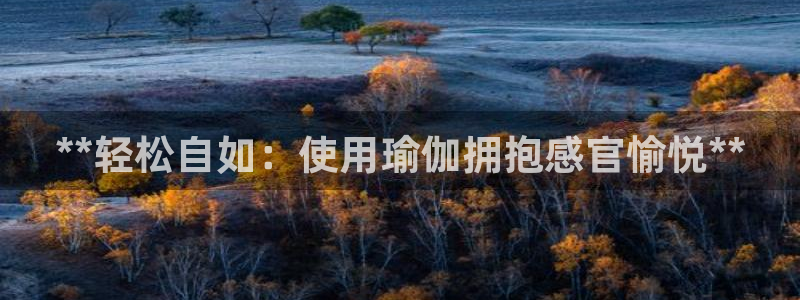 欧洲杯投注在哪找网址