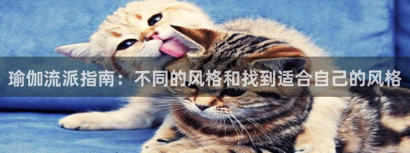 欧洲杯押注
