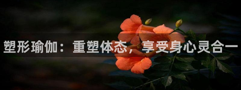 欧洲杯竞猜手机app推荐