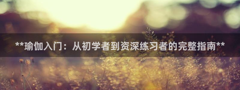 欧洲杯哪里买球靠谱