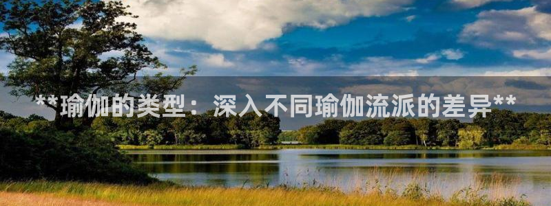 欧洲杯在哪个网站购买