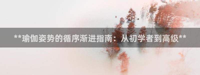 欧洲杯投注入口官网