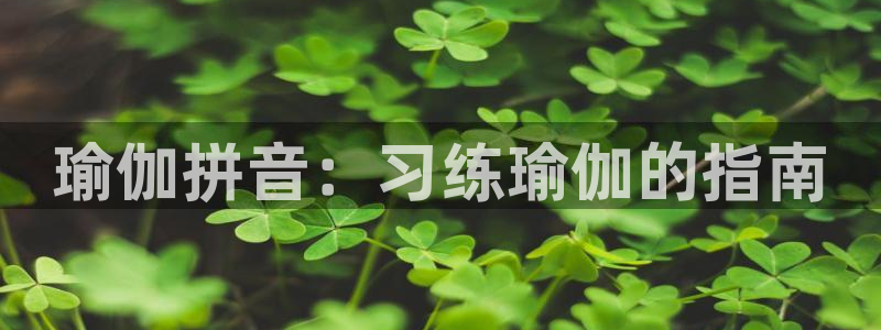 欧洲杯买球网