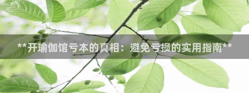 2024欧洲杯押注官网